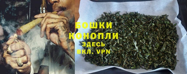 spice Бугульма